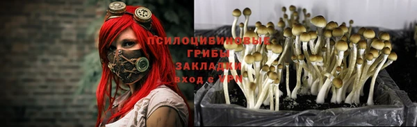 гидра Абдулино