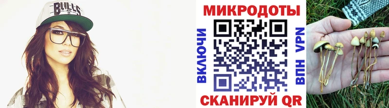 Псилоцибиновые грибы ЛСД  omg вход  Елизаветинская 